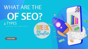 What Are The 4 Types Of SEO?