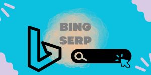 Bing SERP SEO