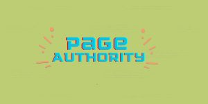 Check Page Authority SEO